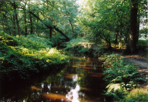 Foto Natuur Deurne